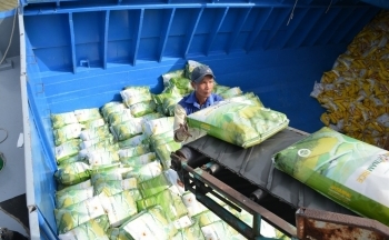 Cần thiết thành lập Sàn giao dịch gạo tiêu chuẩn Việt Nam