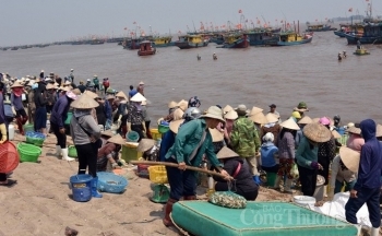 Chợ cá Giao Hải “tăng nhiệt” những ngày đầu nghỉ lễ