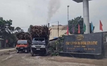 Tuyên Quang: Không đánh đổi môi trường lấy tăng trưởng kinh tế