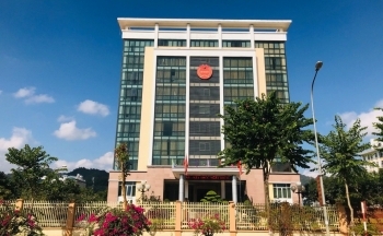 Sơn La: Tạm hoãn xuất cảnh 7 giám đốc doanh nghiệp nợ thuế