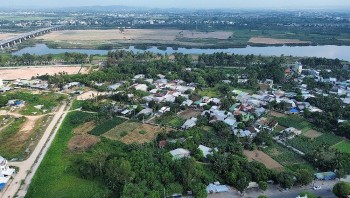 Quảng Ngãi: Bộ Công an yêu cầu cung cấp tài liệu các dự án trồng, chăm sóc cây xanh
