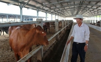 Đắk Lắk: 15 năm “trầy trật” đi đòi 55 tỷ từ ngân sách tạm ứng cho Công ty Sao Đỏ