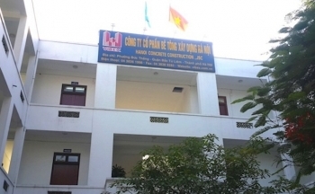 Đính chính thông tin liên quan tới Công ty Bê tông Xây dựng Hà Nội - Vibex