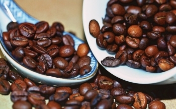 Nguyên nhân nào khiến giá cà phê liên tục “rơi tự do”?