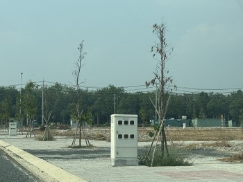 Khoảng tối đấu thầu cây xanh (Bài 1): ''Trùm thầu'' lộ diện