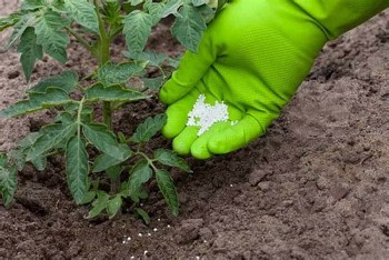 Chưa nhất quán phương pháp xác định hàm lượng silic trong phân bón