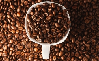 Giá cà phê tăng trở lại, Arabica phục hồi liên tiếp