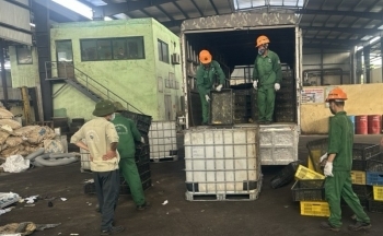 Hải Dương: Buộc tiêu hủy 10.000 con vịt giống