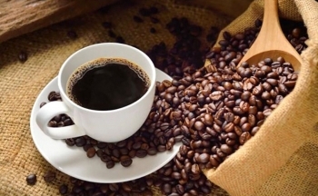 Giá cà phê mới nhất ngày 13/5/2024: Cà phê trong nước tăng nhẹ, cao nhất 101.000 đồng/kg