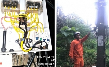 Lào Cai: Phát hiện đối tượng câu trộm điện để nuôi cá