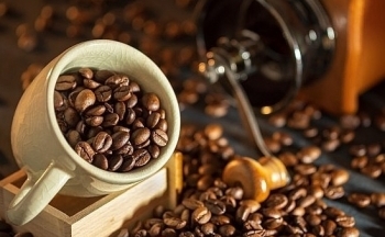 Giá cà phê mới nhất ngày 15/5/2024: Cà phê trong nước giảm nhẹ 200 – 300 đồng/kg