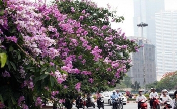 Dự báo thời tiết Hà Nội ngày mai 18/5/2024: Hà Nội ngày nắng, tối có mưa rào và dông