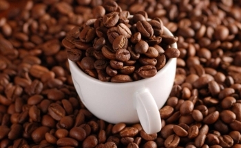 Giá cà phê mới nhất ngày 18/5/2024: Cà phê trong nước tăng 900 - 1.100 đồng/kg, cao nhất 102.500 đồng/kg