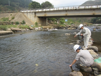 Quy định về điều tra cơ bản tài nguyên nước