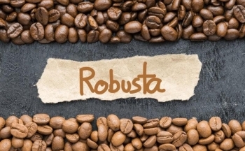 Giá cà phê khởi sắc, Robusta lập đỉnh mới?