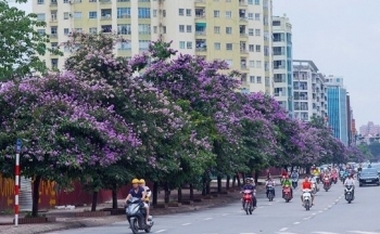 Dự báo thời tiết Hà Nội ngày mai 22/5/2024: Hà Nội ngày nắng gián đoạn, chiều tối mưa dông