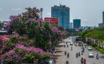 Dự báo thời tiết Hà Nội ngày mai 23/5/2024: Hà Nội ngày nắng, chiều tối mưa rào