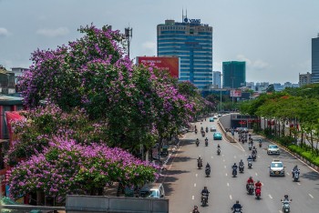 Thời tiết hôm nay 3/6: Hà Nội có mưa rào và dông