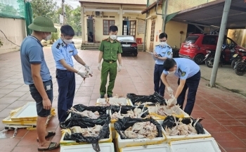 Thái Nguyên: Phát hiện gần 2 tạ thịt gà đã bốc mùi hôi thối
