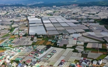 Lâm Đồng: Đà Lạt trong ''cơn bão'' biến đổi khí hậu