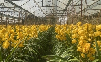 Bài 1: Tiềm năng và cơ hội lớn nhưng thách thức còn nhiều