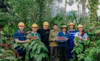 Bài 3: