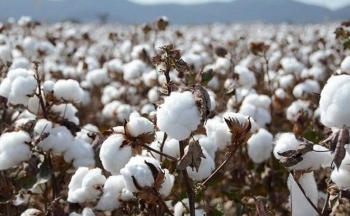 Giá nguyên liệu công nghiệp tăng mạnh