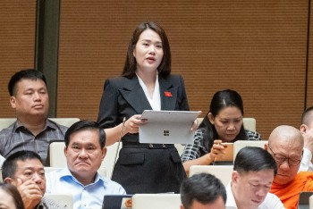 Đại biểu Quốc hội lo ngại ''nghèo hóa'' khi về hưu