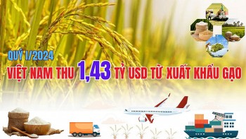 Infographic: Quý I/2024, xuất khẩu gạo đạt 2,18 triệu tấn, tăng 46,6% về trị giá