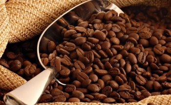 Giá cà phê mới nhất ngày 28/5/2024: Cà phê trong nước tăng nhẹ, cao nhất 116.700 đồng/kg