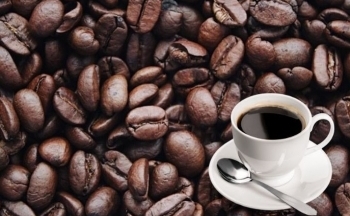 Giá cà phê đang hướng tới mốc 4.000 USD/tấn