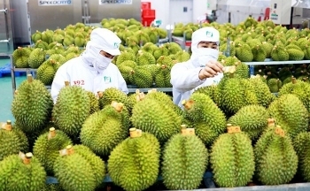Xuất khẩu rau quả Việt Nam tăng trưởng vượt bậc