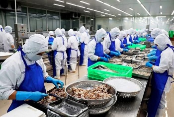 Bình quân mỗi tháng có gần 20 nghìn doanh nghiệp thành lập mới và quay lại hoạt động