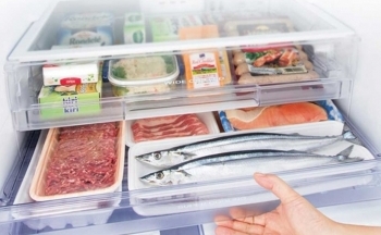 Rã đông, cấp đông thực phẩm thế nào để an toàn cho sức khỏe?