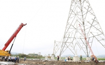 Nam Định: 24 nhân lực hỗ trợ thi công dự án đường dây 500kV mạch 3