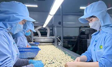 Bộ Công Thương: 9 giải pháp tận dụng ưu đãi từ các FTA, thúc đẩy xuất khẩu