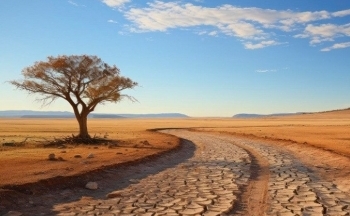 Việt Nam hưởng ứng Ngày Môi trường Thế giới 5/6