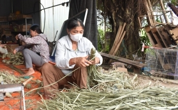 Hoà Bình: Về nơi biến cỏ tranh thành ngoại tệ, người dân thoát nghèo