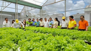 Lợi ích ứng dụng công nghệ cao trong phát triển nông nghiệp đô thị