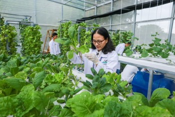 TP. Hồ Chí Minh: Ứng dụng công nghệ cao để phát triển vườn đô thị
