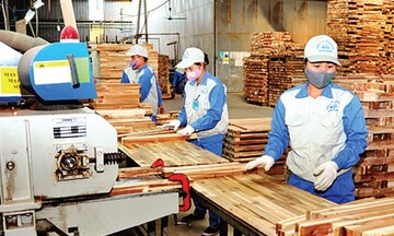Tuyên Quang: Hướng đến mục tiêu phát triển kinh tế xanh và bền vững