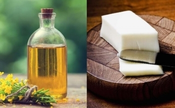 Có nên thay thế hoàn toàn mỡ động vật bằng dầu thực vật?