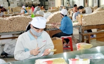 Tuyên Quang đề nghị tăng nguồn vốn hỗ trợ cho đầu tư hạ tầng cụm công nghiệp