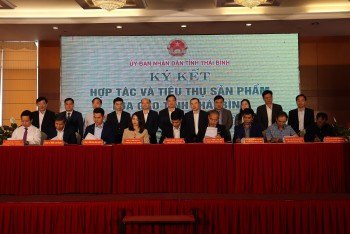 Tăng cường kết nối cung cầu, khai thác tốt thị trường nội địa