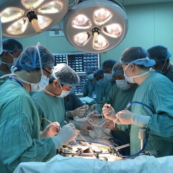 Chi phí ghép mô tạng quá lớn: Đề xuất bảo hiểm y tế chi trả thêm