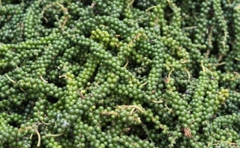 Lý do giá hồ tiêu nội địa “bốc hơi” 21.000 đồng/kg?