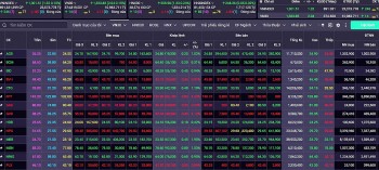 Chứng khoán hôm nay 14/6/2024: Thị trường vẫn đang trong giai đoạn biến động mạnh