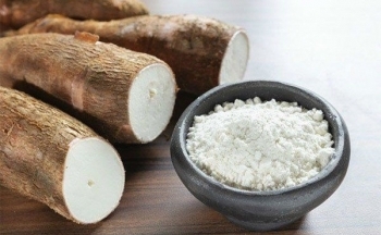 Nên uống bột sắn dây sống hay chín để có lợi cho sức khỏe?