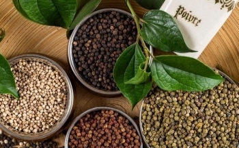 Khan hiếm nguồn cung, đại lý khó mua hàng, giá hồ tiêu liệu có vượt đỉnh?