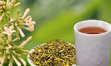 Hoa đu đủ đực tươi hay khô có công dụng tốt hơn?